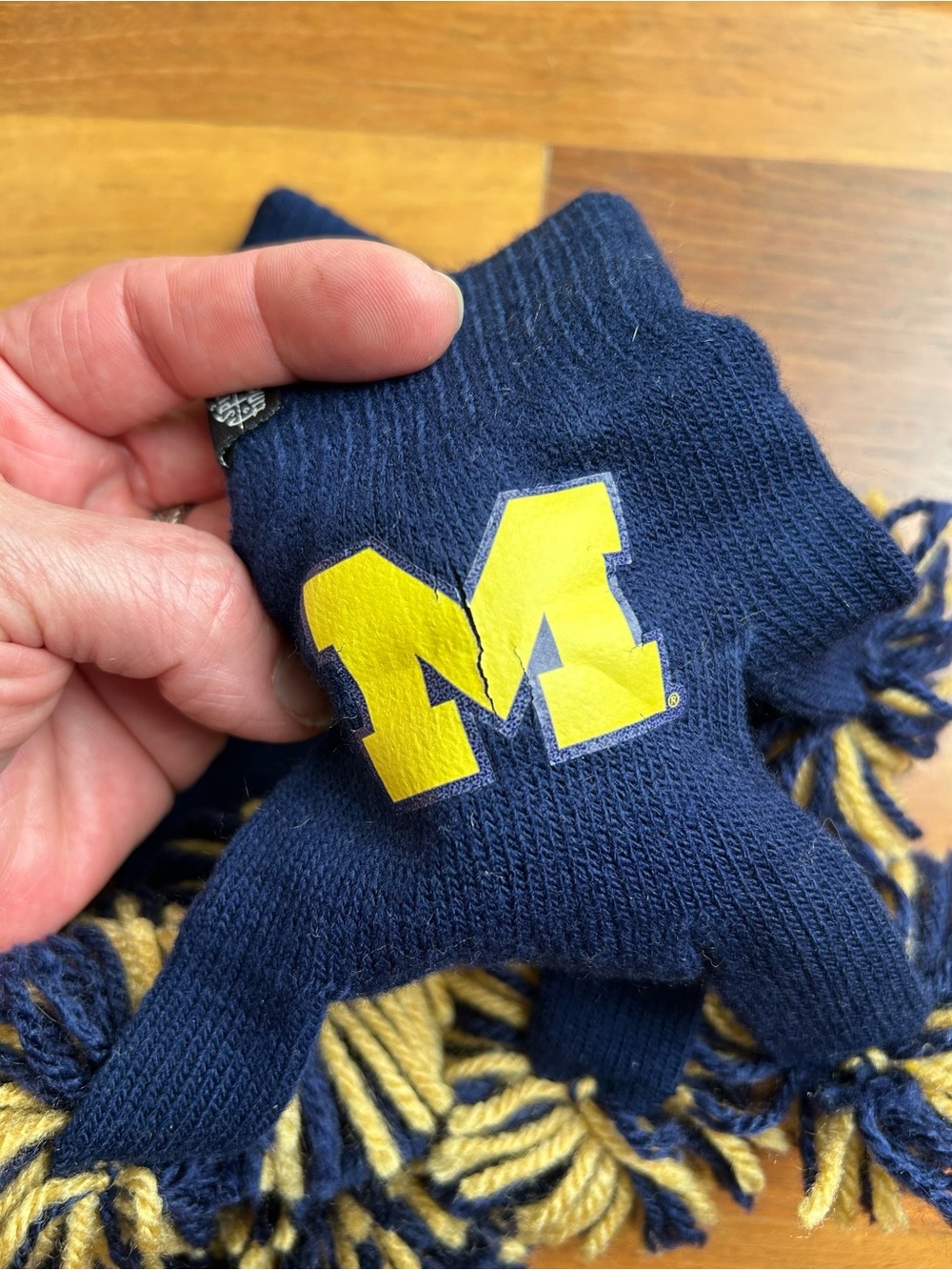 University of Michigan game day essentials - Picture 8 of 15